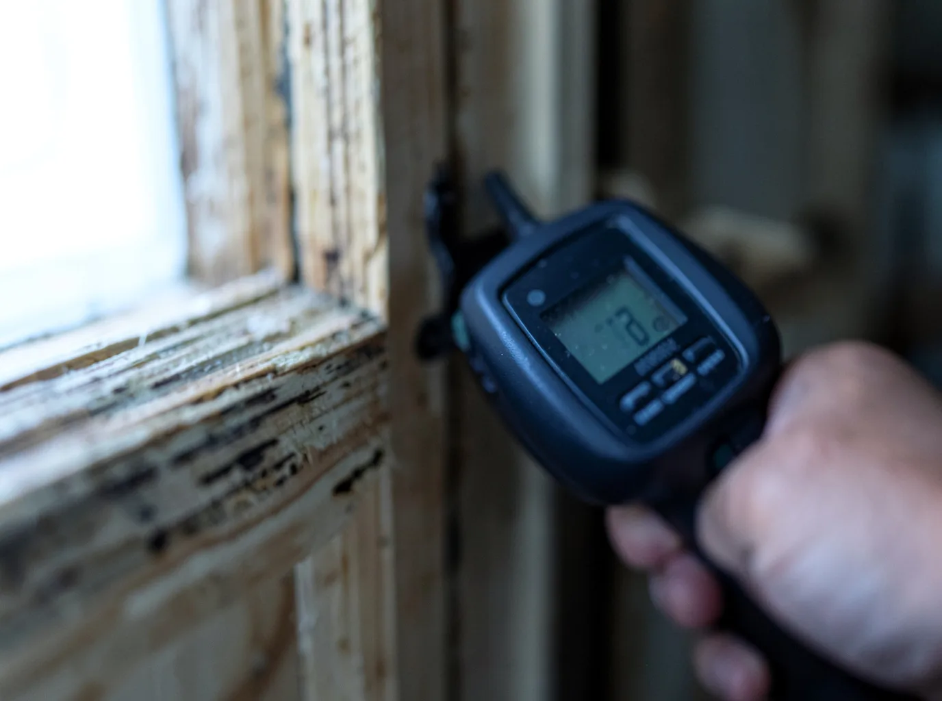 Moisture Inspection And Documentation in Jordan, MT